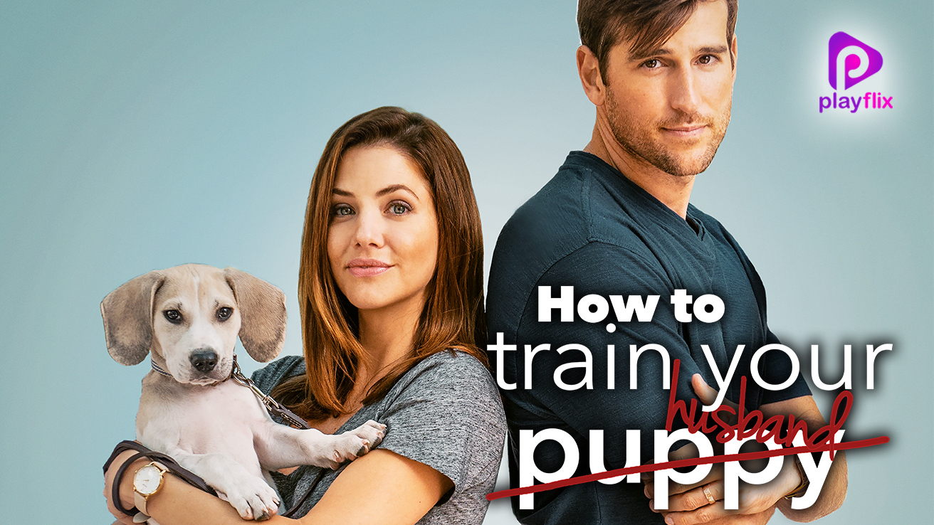 How To Train Your Husband (2018) Movie: Watch Full Movie Online on ...