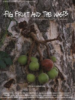 jiocinema - Fig Fruit And The Wasps