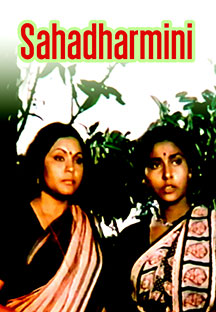 jiocinema - Sahadharmini