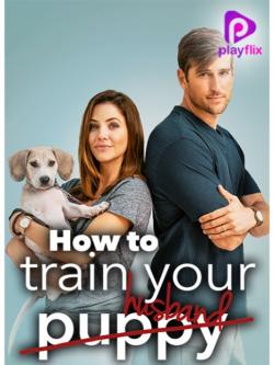 jiocinema - How To Train Your Husband