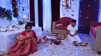 jiocinema - Vijay-Geetha get a slithering surprise!