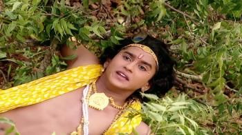 jiocinema - Krishna falls off the tree