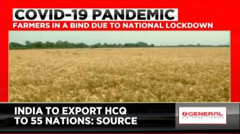 jiocinema - Harvesting stalled as farmers find no labour avilable amidst lockdown