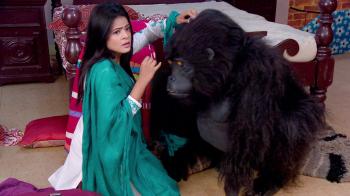 jiocinema - Thapki encounters a gorilla