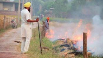 jiocinema - Reporters Project: Why Punjab Framers Are Still Burning Crop Stubble