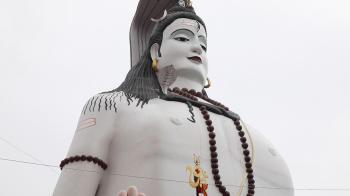 jiocinema - Daily Bonus in Shri Mai Mandir!