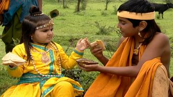 jiocinema - Krishna makes Shantnu eat